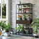 Modern Tall Bookcase Cabinet Kitchen Plant Storage Shelf Stand With 2 Wood Drawers