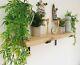 Reclaimed Rustic Industrial Wooden Scaffold Board Shelves Old Kitchen Any Size